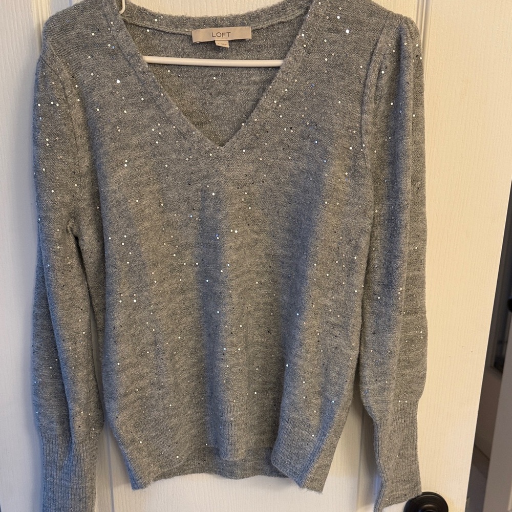 LOFT V-Neck Sweater with Silver Accents